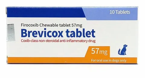 브레비콕스정 57mg 제품 사진 (보림당약국)