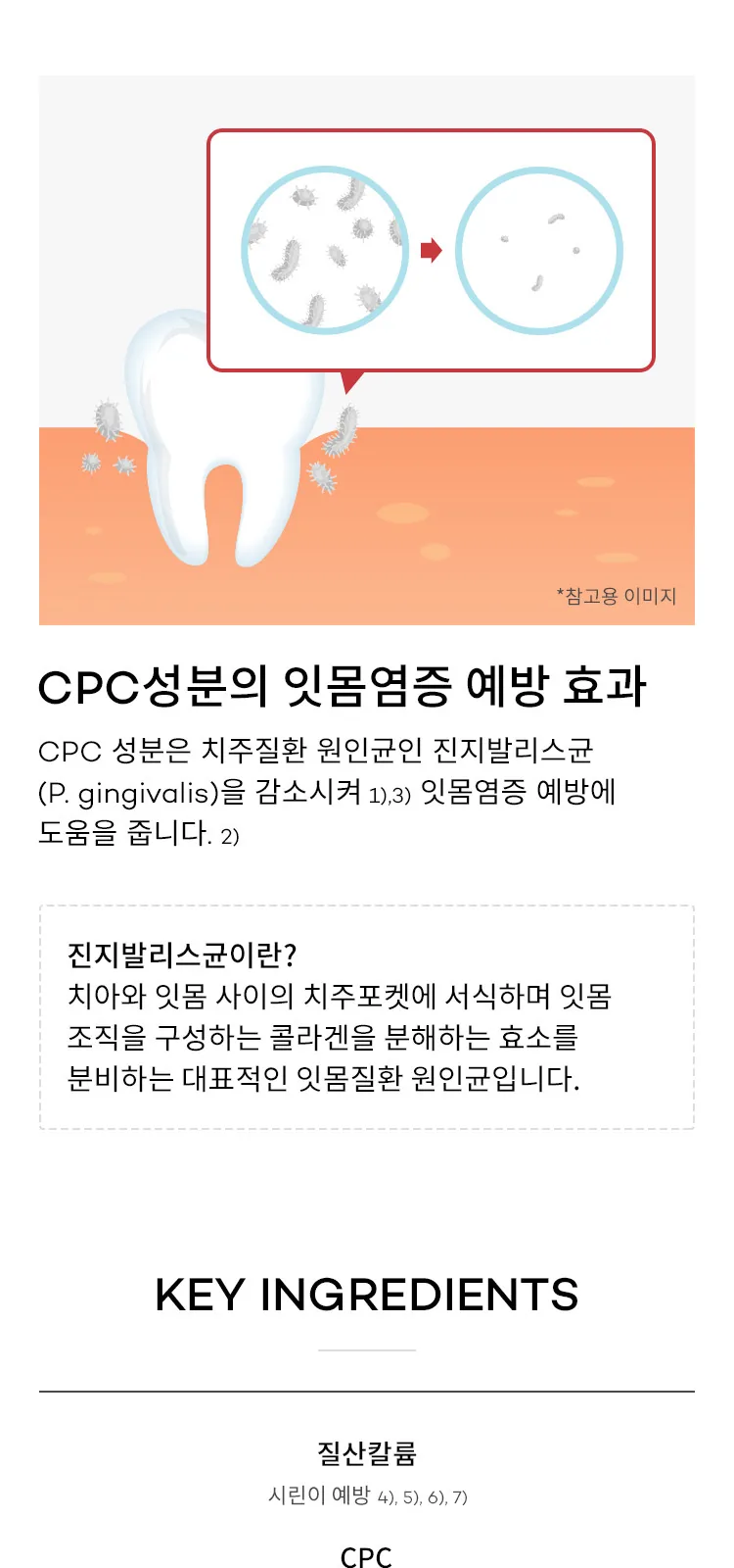 검가드 센서티브 치약 상세 설명