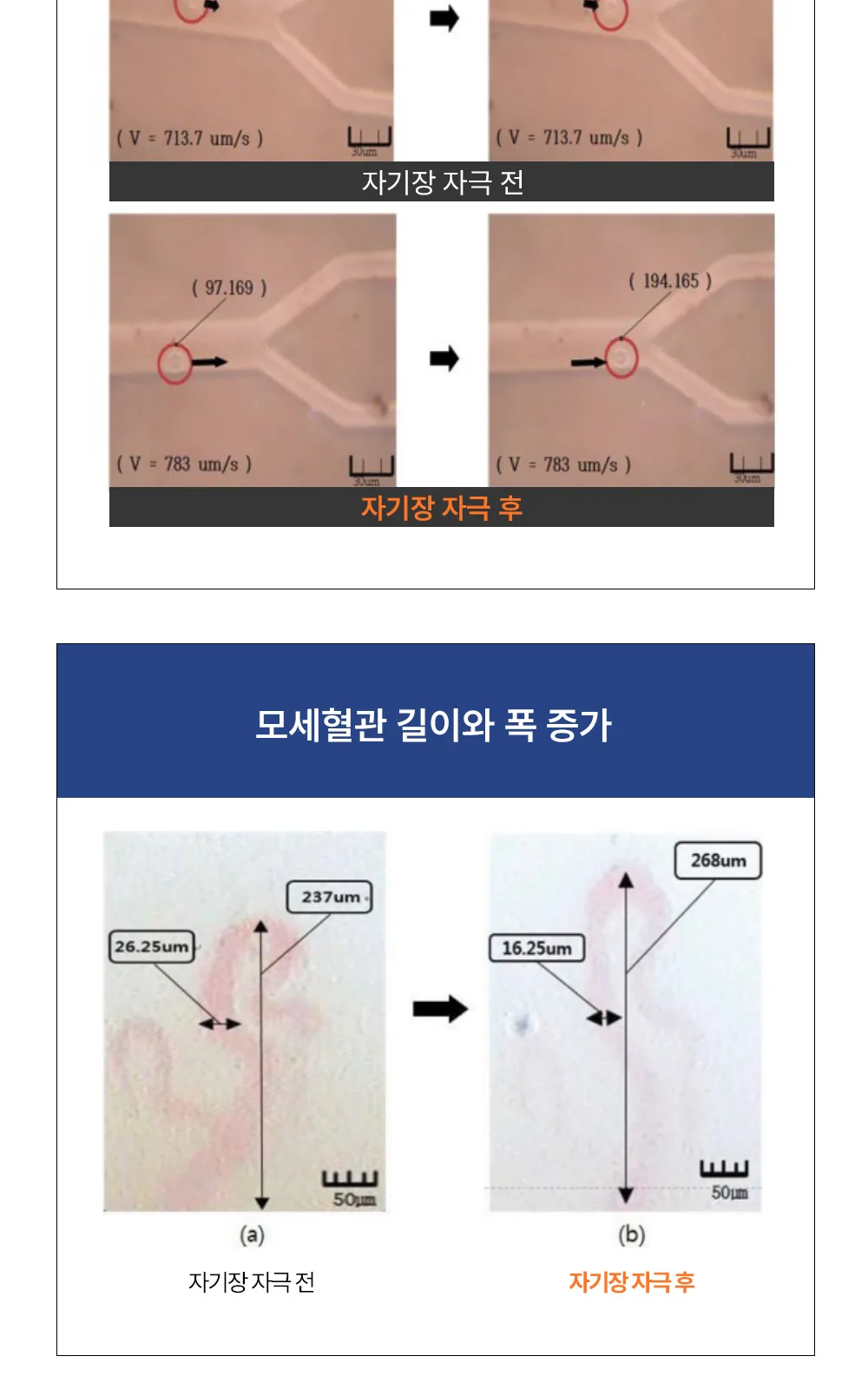 MK6 테이핑 자석패치 싱글형 114매 상세 설명