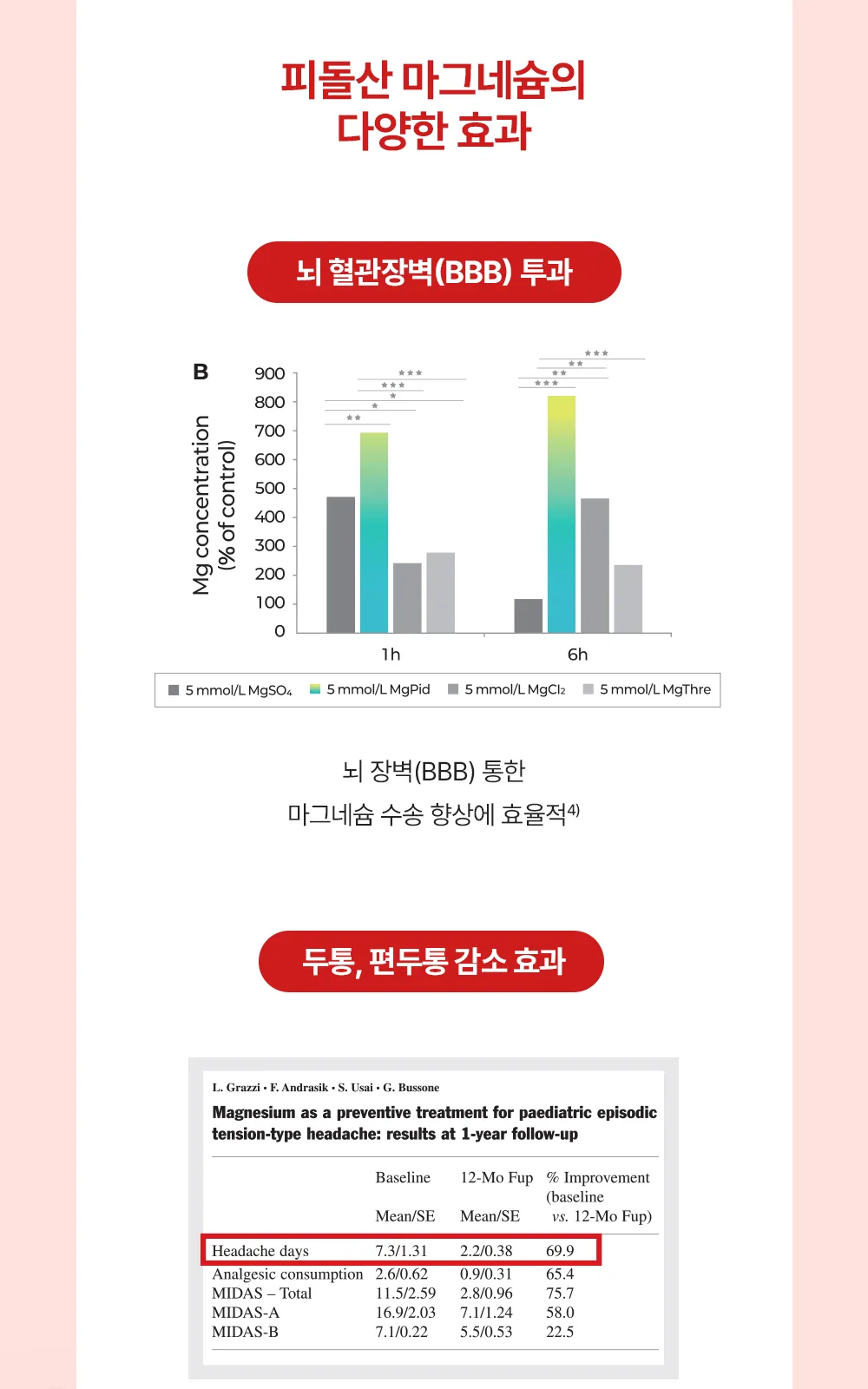 마그랑비 피돌샷액 상세 설명
