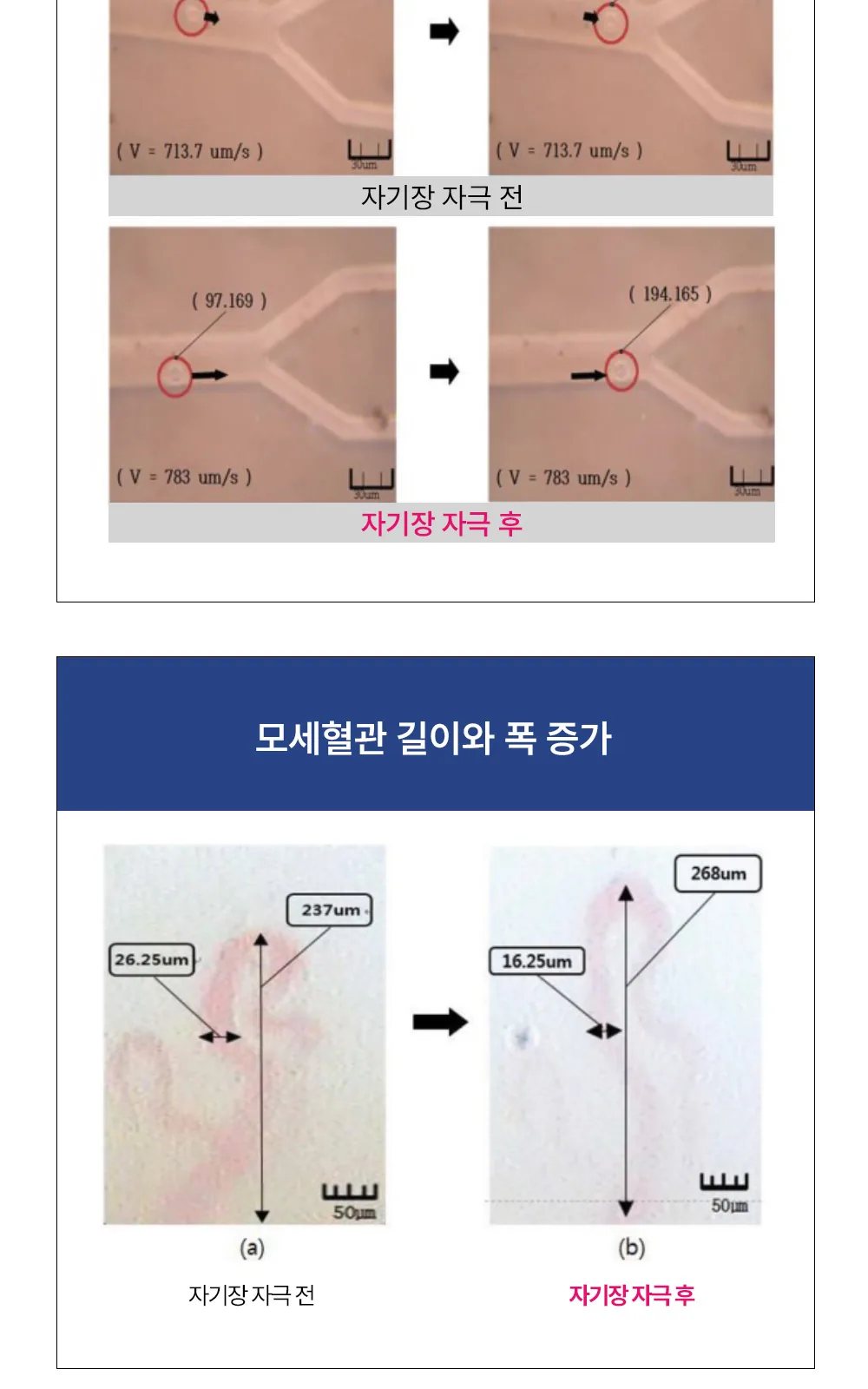 MK6 테이핑 자석패치 더블형 상세 설명