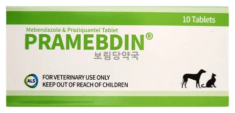 프라메딘 제품 사진 (보림당약국)