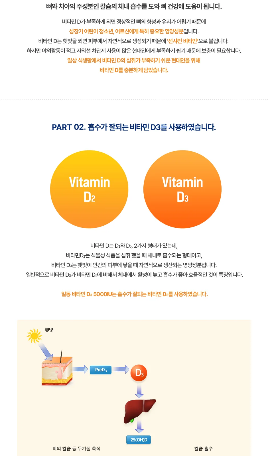 일동 비타민D3 5000IU 상세 설명