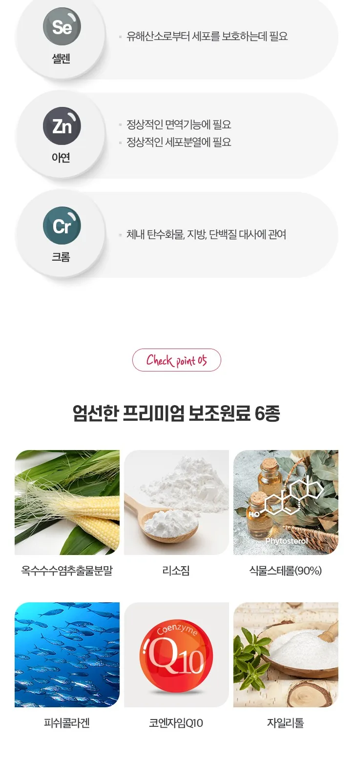 일동 파워덴트 프리미엄 (P) 상세 설명