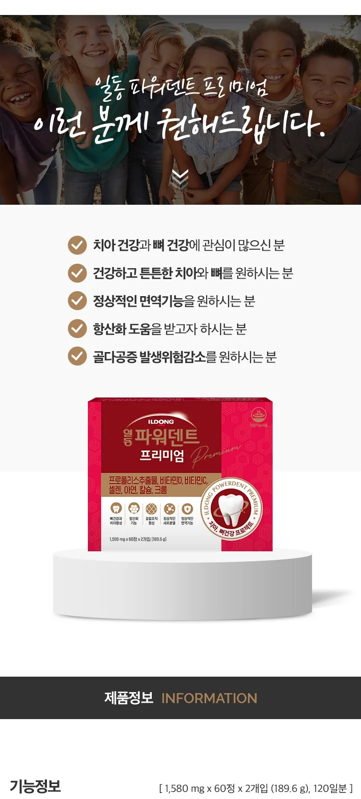 일동 파워덴트 프리미엄 (P) 상세 설명