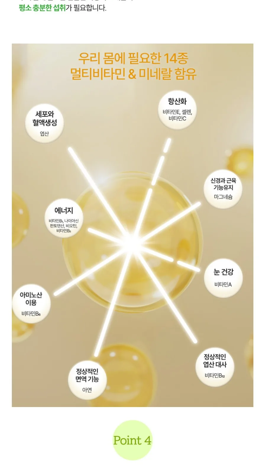 일동생활건강 멀티맥스 비타 14(온라인판매금지) 상세 설명