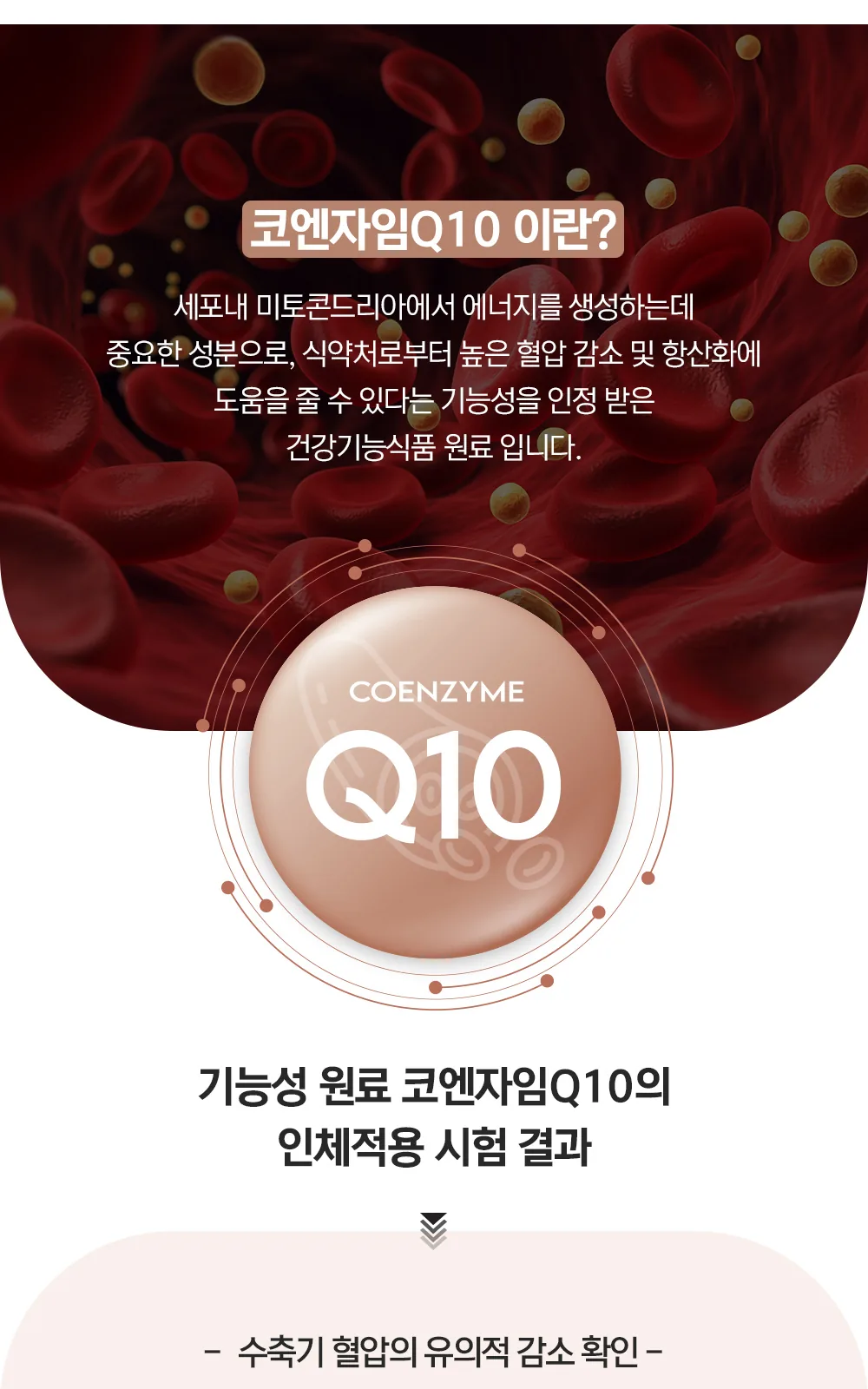 코큐텐 100MG 맥스 (P) 상세 설명