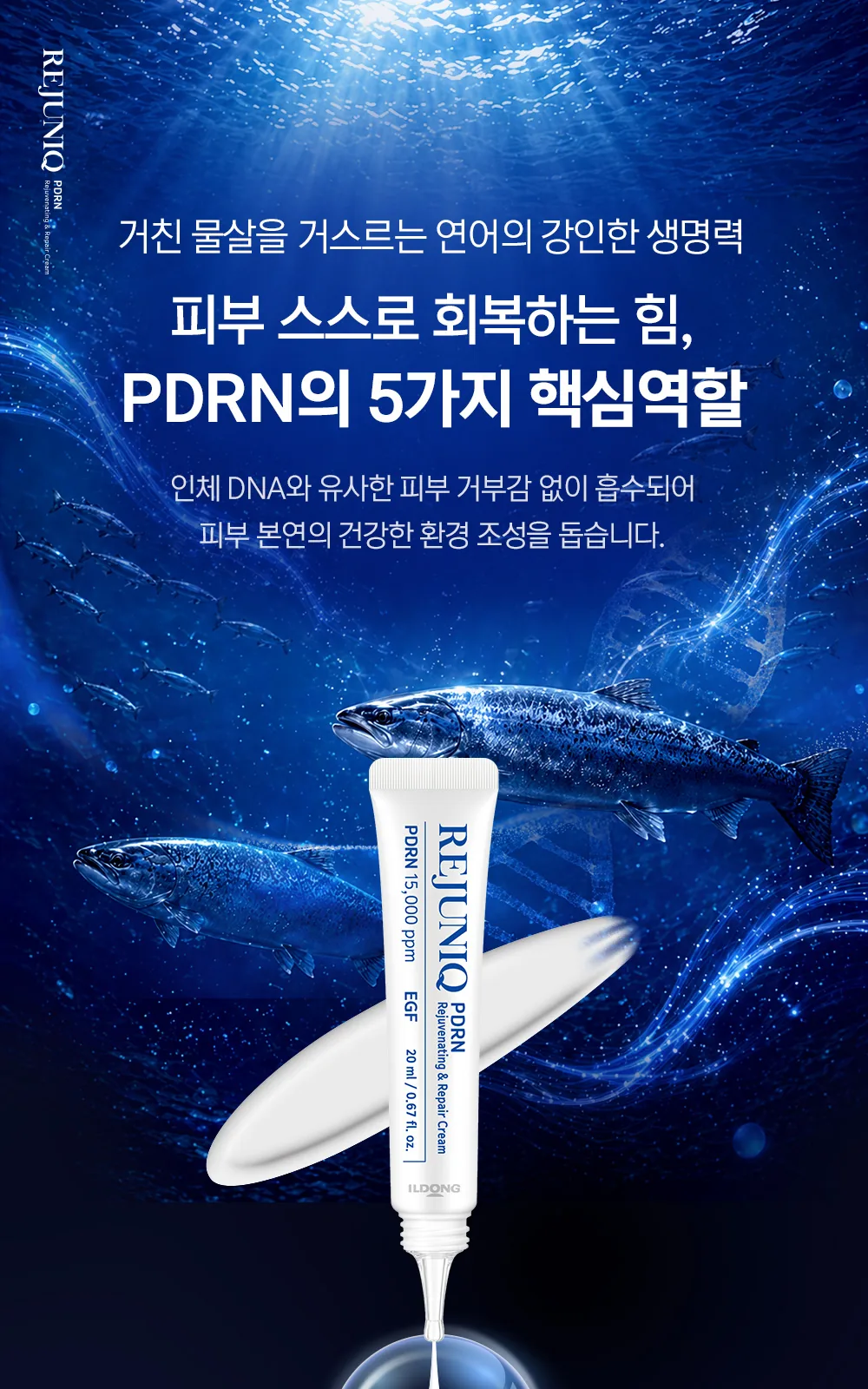 리쥬닉 피디알엔 크림 20ml 상세 설명