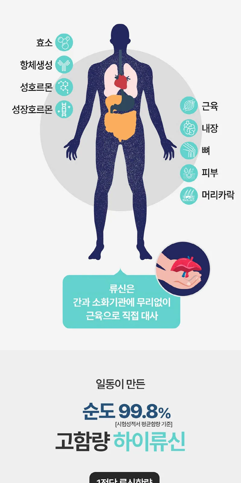 일동제약 하이류신 단백질 1000mg 상세 설명