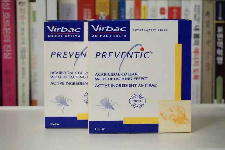 프리벤티크(Preventic) 정면