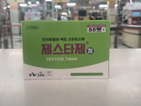 제스타제정 포장 정면